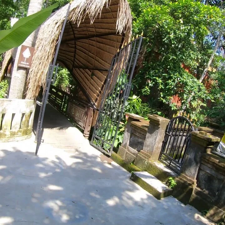 An open thatched gateway into a retreat sanctuary — the entrance to a Pangea program