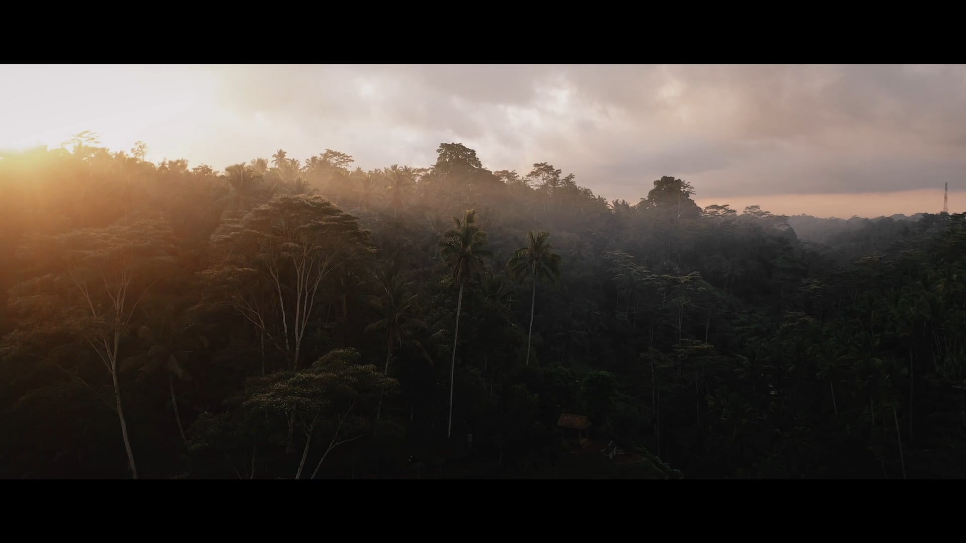 A Pangea retreat in session — guests gathered in nature